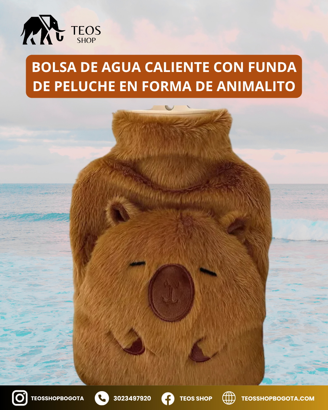 Bolsa de agua caliente con funda de peluche en forma de animalito