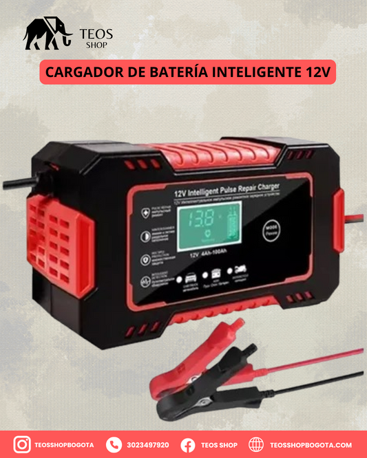 Cargador de Batería Inteligente 12V