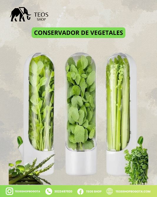 Conservador de vegetales