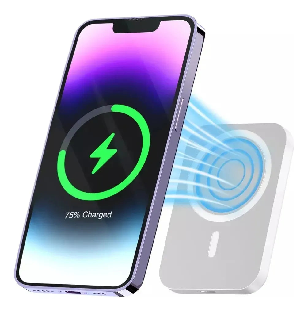 power bank manzanita